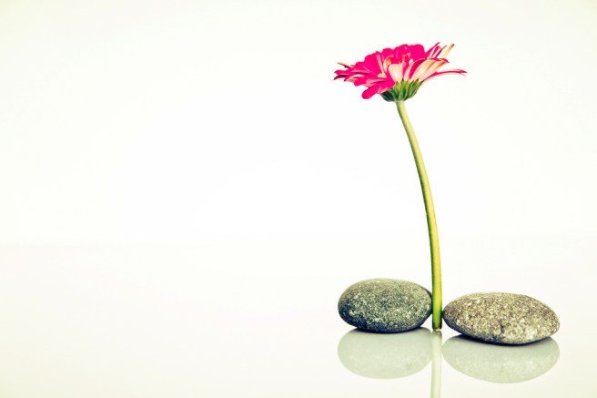 14201961327_d2a3aa4ca7_b